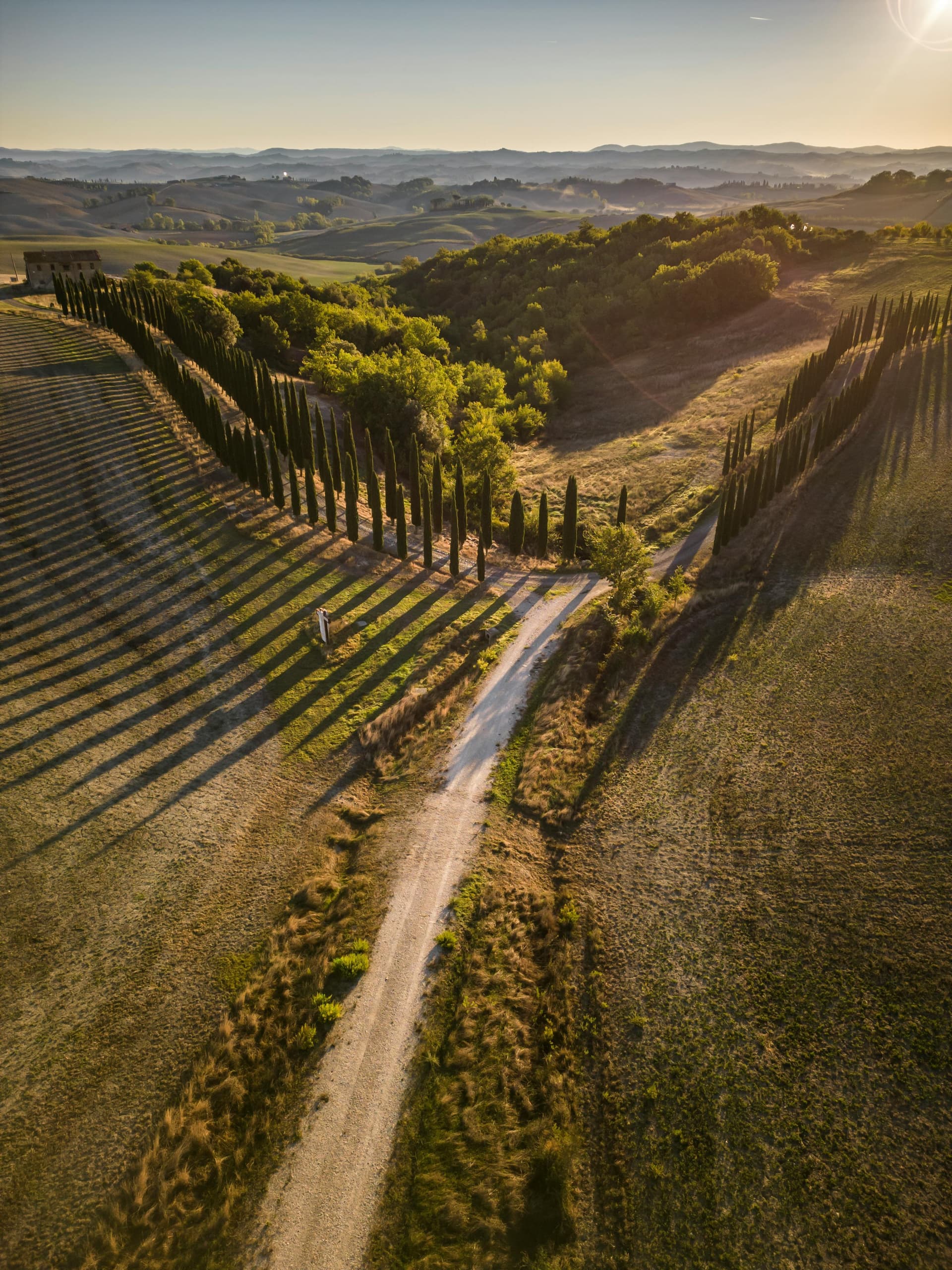 Pexels alejandro henriquez 558322658 19152000 content image